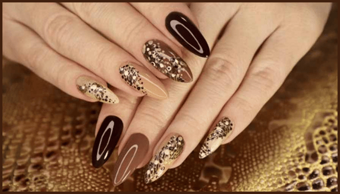 Nail Services at best price in Jodhpur | ID: 7407808233